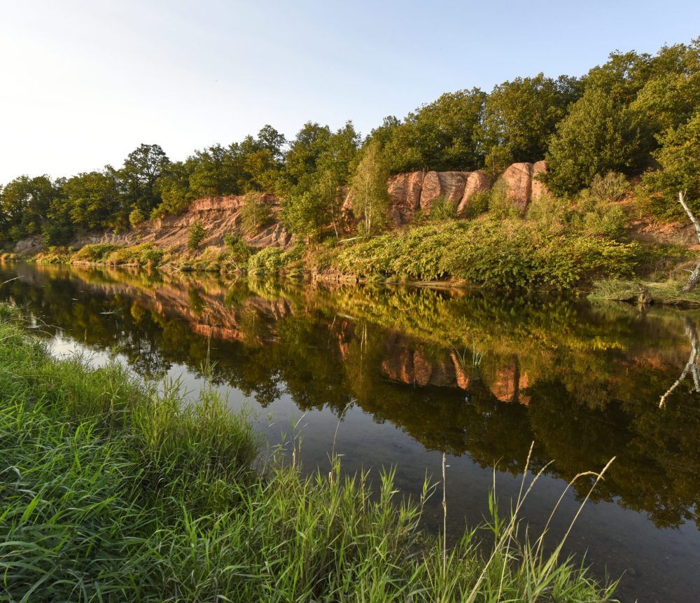 LSG_Mittlere_Mulde,_Rotes_Ufer_bei_Bad_Düben_05 LSG_Mittlere_Mulde,_Rotes_Ufer_bei_Bad_Düben_05