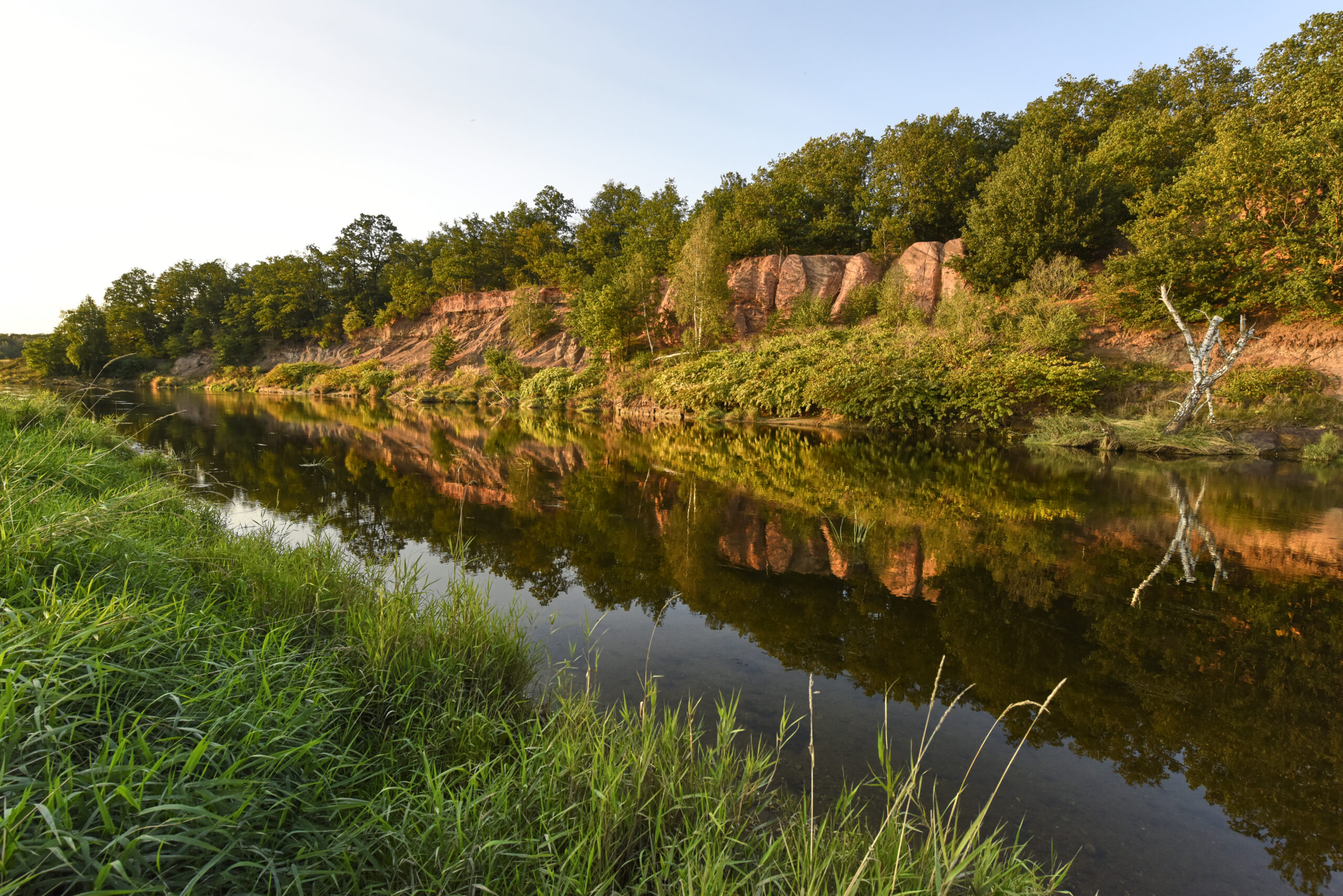 LSG_Mittlere_Mulde,_Rotes_Ufer_bei_Bad_Düben_05 LSG_Mittlere_Mulde,_Rotes_Ufer_bei_Bad_Düben_05